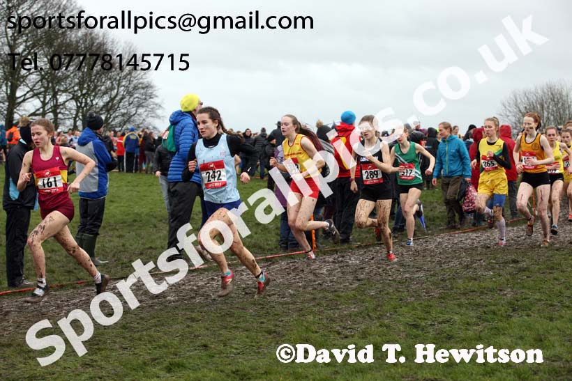 Senior girls 2019 New Balance English Schools Cross Country Champs, Temple Newsam, Leeds. Photo:  David T. Hewitson/Sports for All Pics